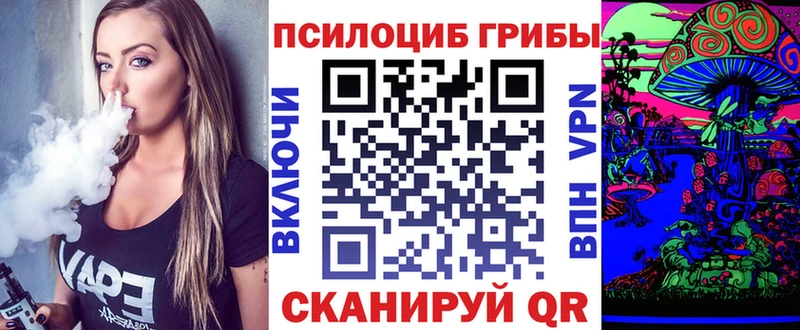 Галлюциногенные грибы Cubensis  купить   Барыш 